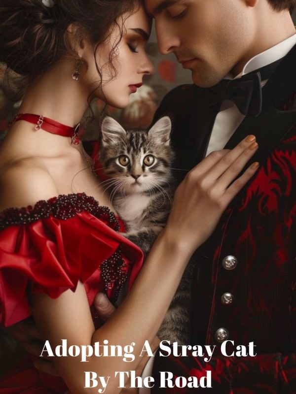 Adopting A Stray Cat By The Road