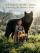 Wolf-Raised Cub with a Space: Surviving the Disaster Years