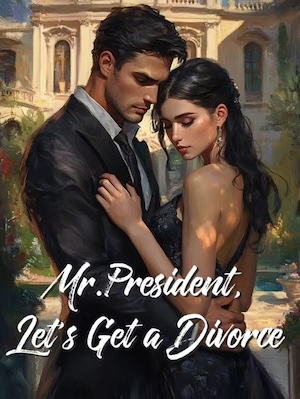 Mr.President, Let's Get a Divorce